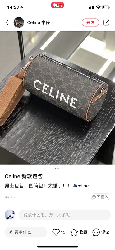 CELINE 0498 (1)