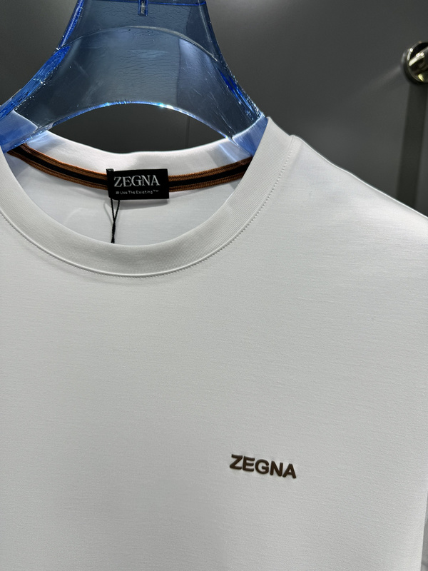 Zegna 0176